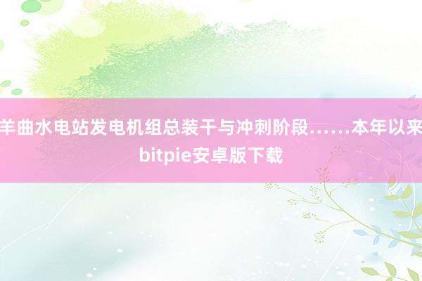 羊曲水电站发电机组总装干与冲刺阶段……本年以来bitpie安卓版下载