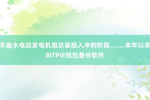 羊曲水电站发电机组总装投入冲刺阶段……本年以来BITPIE钱包备份软件