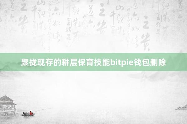 聚拢现存的耕层保育技能bitpie钱包删除