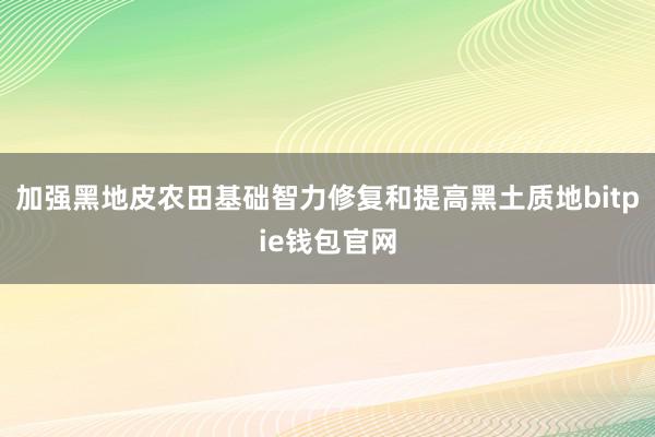 加强黑地皮农田基础智力修复和提高黑土质地bitpie钱包官网