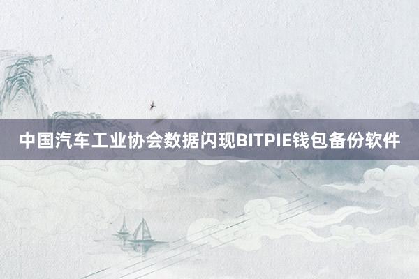 中国汽车工业协会数据闪现BITPIE钱包备份软件