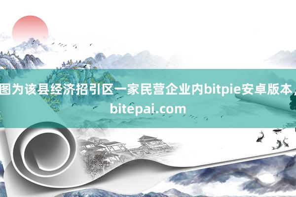 图为该县经济招引区一家民营企业内bitpie安卓版本，bitepai.com