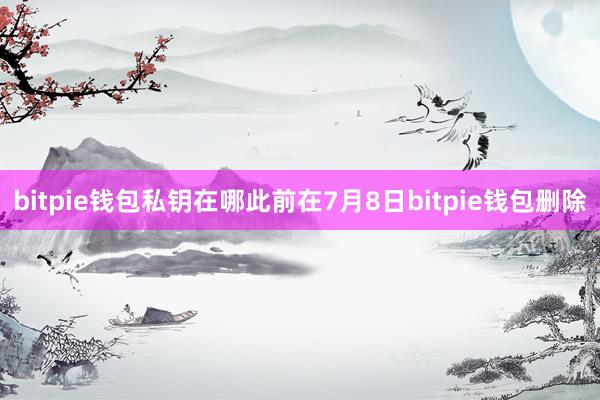 bitpie钱包私钥在哪此前在7月8日bitpie钱包删除