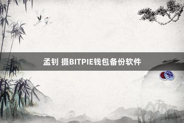 孟钊 摄BITPIE钱包备份软件