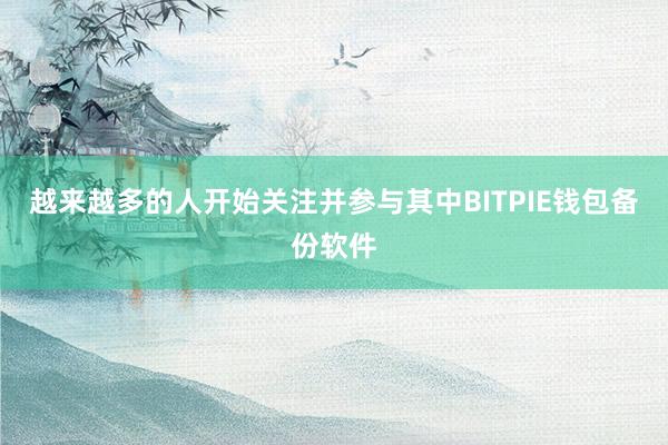 越来越多的人开始关注并参与其中BITPIE钱包备份软件