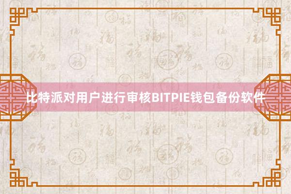 比特派对用户进行审核BITPIE钱包备份软件