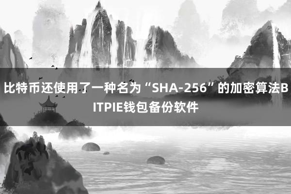 比特币还使用了一种名为“SHA-256”的加密算法BITPIE钱包备份软件