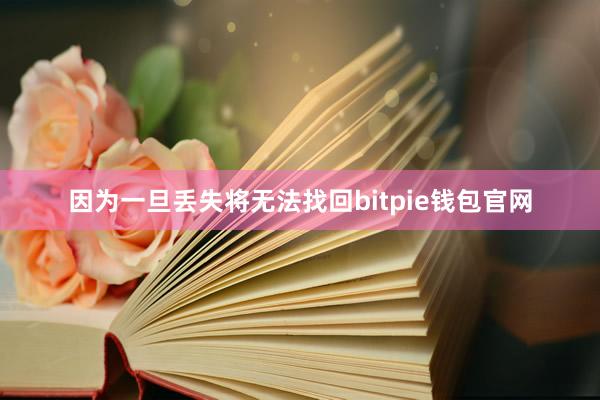 因为一旦丢失将无法找回bitpie钱包官网