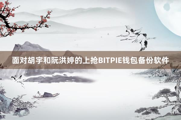 面对胡宇和阮洪婷的上抢BITPIE钱包备份软件