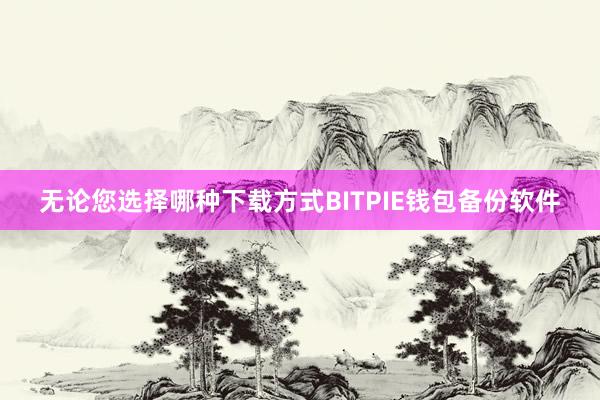 无论您选择哪种下载方式BITPIE钱包备份软件