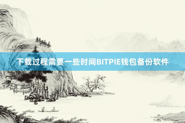 下载过程需要一些时间BITPIE钱包备份软件