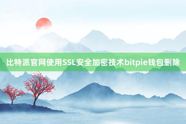 比特派官网使用SSL安全加密技术bitpie钱包删除