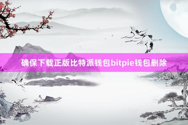 确保下载正版比特派钱包bitpie钱包删除