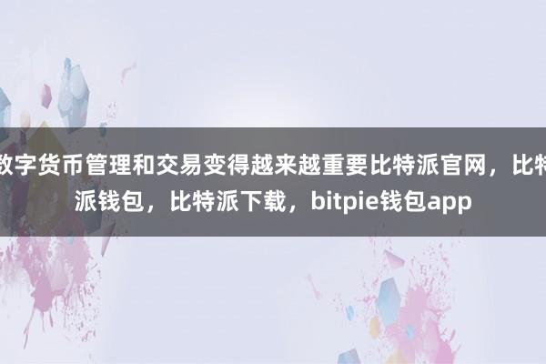 数字货币管理和交易变得越来越重要比特派官网，比特派钱包，比特派下载，bitpie钱包app