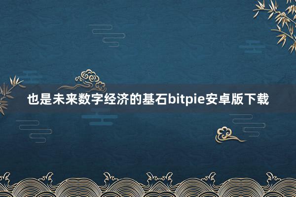 也是未来数字经济的基石bitpie安卓版下载