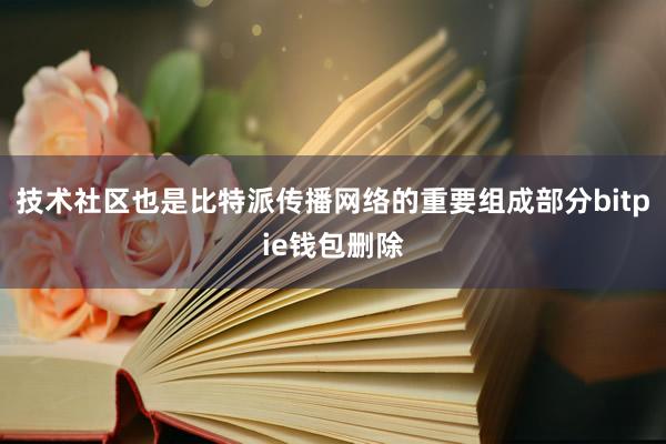 技术社区也是比特派传播网络的重要组成部分bitpie钱包删除