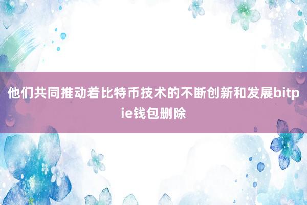 他们共同推动着比特币技术的不断创新和发展bitpie钱包删除