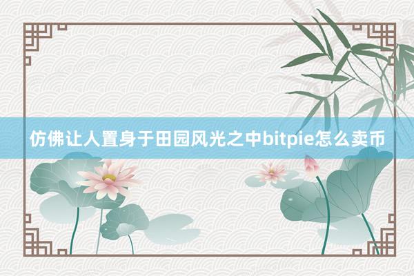 仿佛让人置身于田园风光之中bitpie怎么卖币