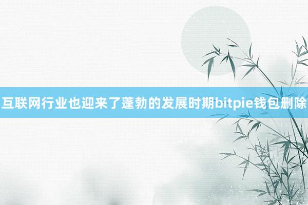 互联网行业也迎来了蓬勃的发展时期bitpie钱包删除