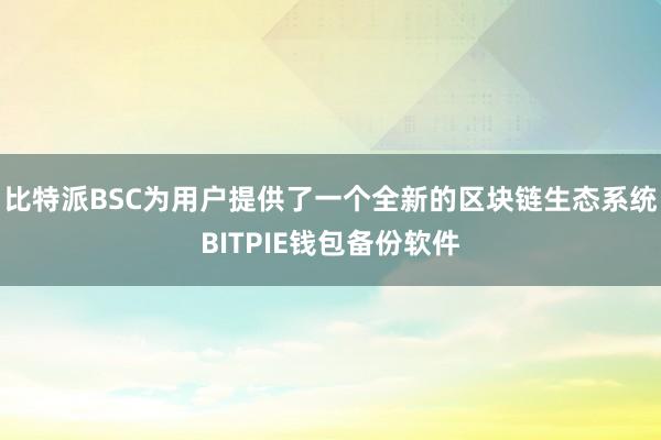 比特派BSC为用户提供了一个全新的区块链生态系统BITPIE钱包备份软件