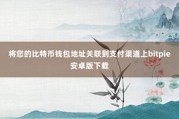 将您的比特币钱包地址关联到支付渠道上bitpie安卓版下载