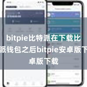 bitpie比特派在下载比特派钱包之后bitpie安卓版下载