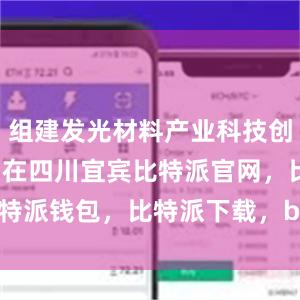 组建发光材料产业科技创新联合体；在四川宜宾比特派官网，比特派钱包，比特派下载，bitpie钱包app