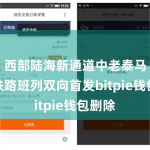 西部陆海新通道中老泰马跨境铁路班列双向首发bitpie钱包删除