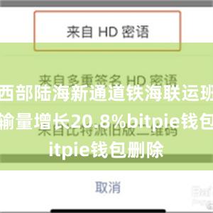 西部陆海新通道铁海联运班列运输量增长20.8%bitpie钱包删除