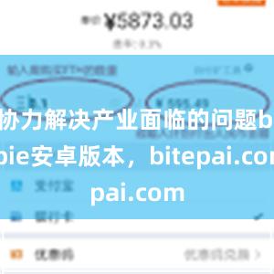 协力解决产业面临的问题bitpie安卓版本，bitepai.com