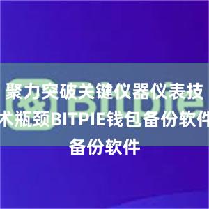 聚力突破关键仪器仪表技术瓶颈BITPIE钱包备份软件