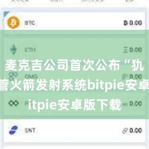 麦克吉公司首次公布“犰狳”多管火箭发射系统bitpie安卓版下载